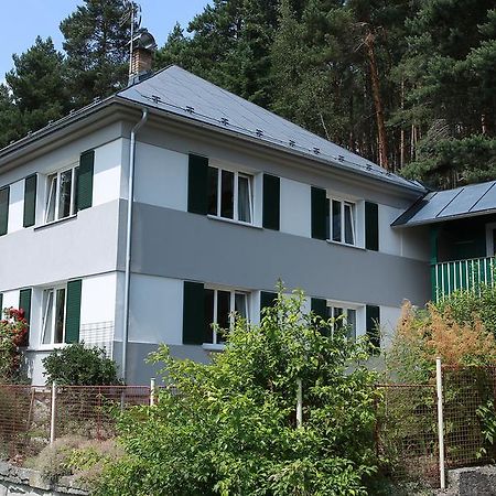 Apartments Michovka Koberovy エクステリア 写真